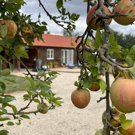 Walnut Tree Cottage Barn Toppesfield Exterior photo